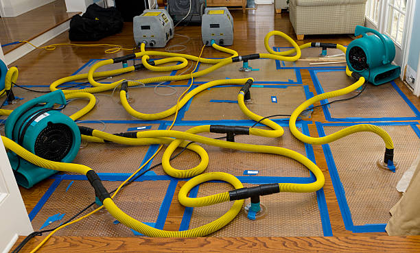 Professional Water Damage Repair technician working in Ravenna, TX